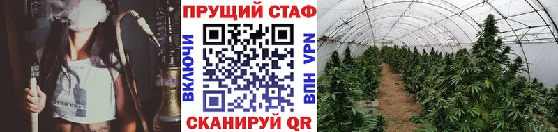 Где купить Дубовка Каннабис  АМФ  Меф  МЕТАМФЕТАМИН  Галлюциногенные грибы  Alpha PVP  Cocaine 