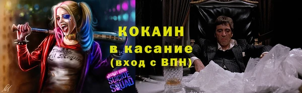 тгк Абинск