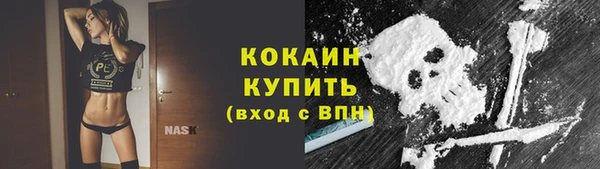 тгк Абинск