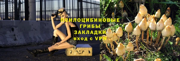 герыч Алексин