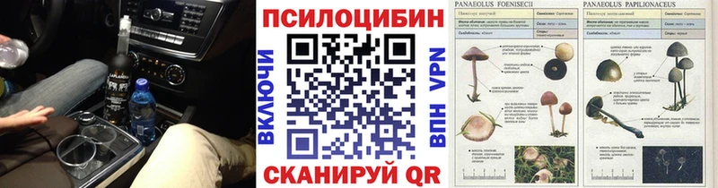 Галлюциногенные грибы Psilocybe  где найти наркотики  Дубовка 
